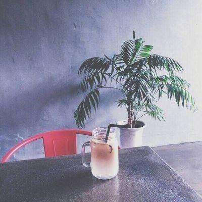 少年三国志斗鱼版下载